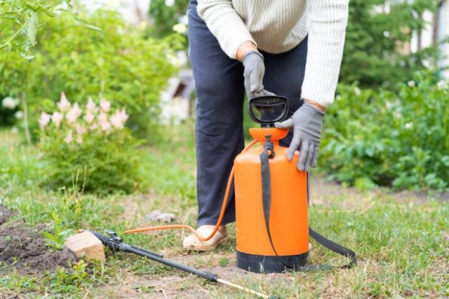 Co jsou pesticidy Jsou škodlivé pro rostliny a lidi